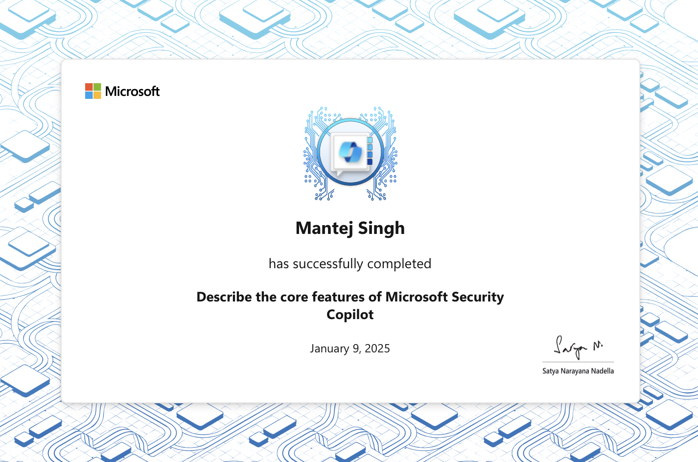 Describe the core features of Microsoft Security Copilot